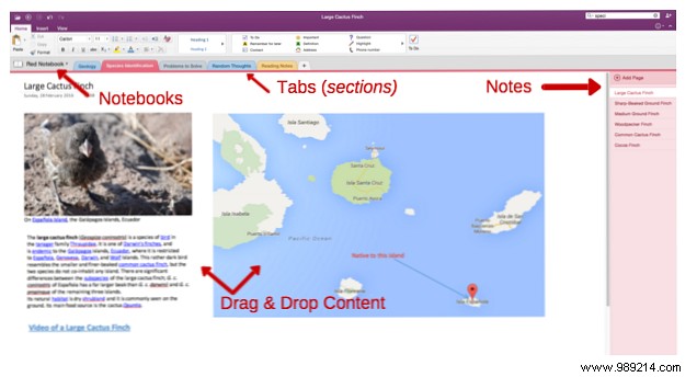 Why OneNote is the Best Free Evernote Alternative: An Expert Comparison