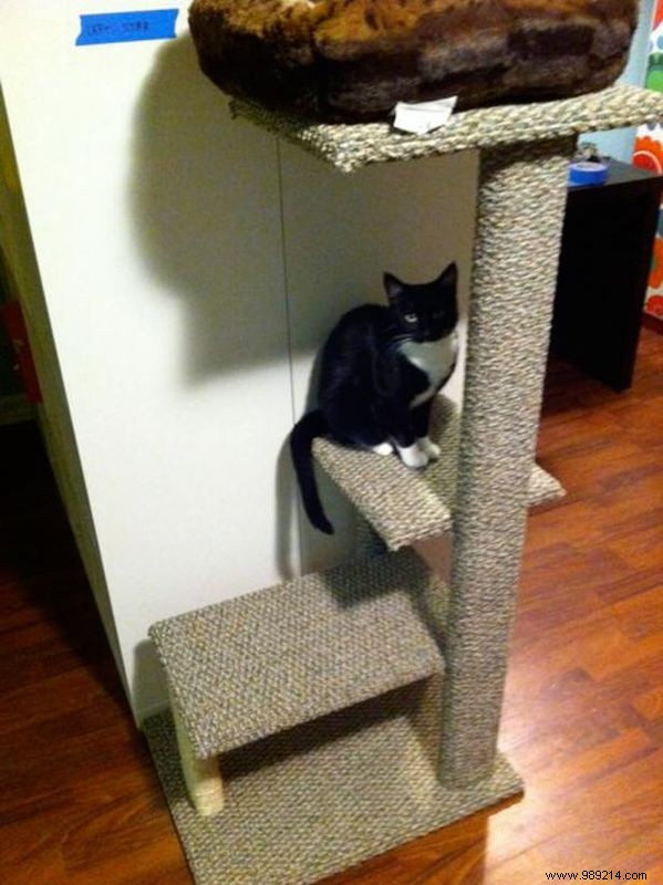 DIY Guide: Build a Sturdy Sisal Rope and Rug Cat Tree