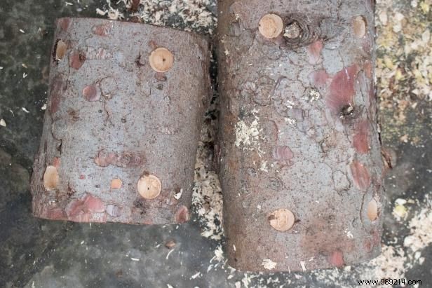 DIY Rustic Reindeer Lawn Ornaments: Step-by-Step Guide Using Logs and Branches by Emily Fazio