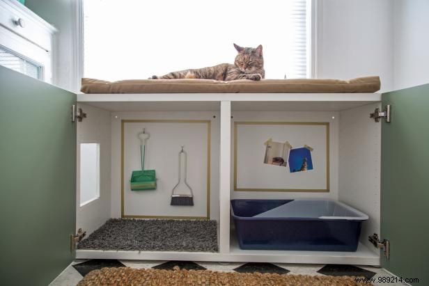 DIY Guide: Hide Your Cat s Litter Box in a Stylish Cabinet for a Tidy Home