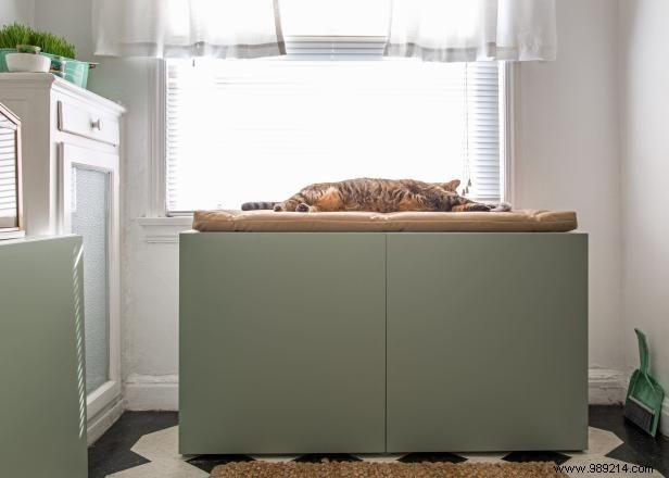DIY Guide: Hide Your Cat s Litter Box in a Stylish Cabinet for a Tidy Home