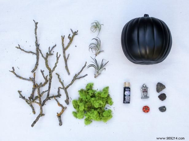DIY Spooky Fairy Garden in a Pumpkin: Halloween Tutorial by Crafter Carla Wicking