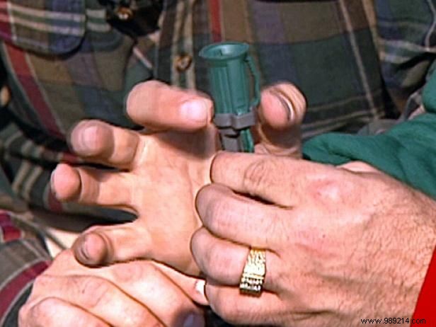 Expert Guide: How to Hang Outdoor Holiday Lights Damage-Free and Beautifully