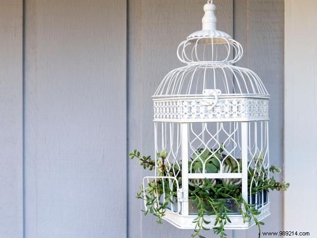 DIY Birdcage Succulent Garden: Custom Liner for Any Size Cage – Expert Guide by Sam Henderson