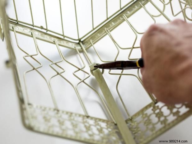 DIY Birdcage Succulent Garden: Custom Liner for Any Size Cage – Expert Guide by Sam Henderson