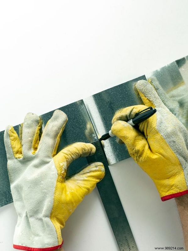 DIY Birdcage Succulent Garden: Custom Liner for Any Size Cage – Expert Guide by Sam Henderson