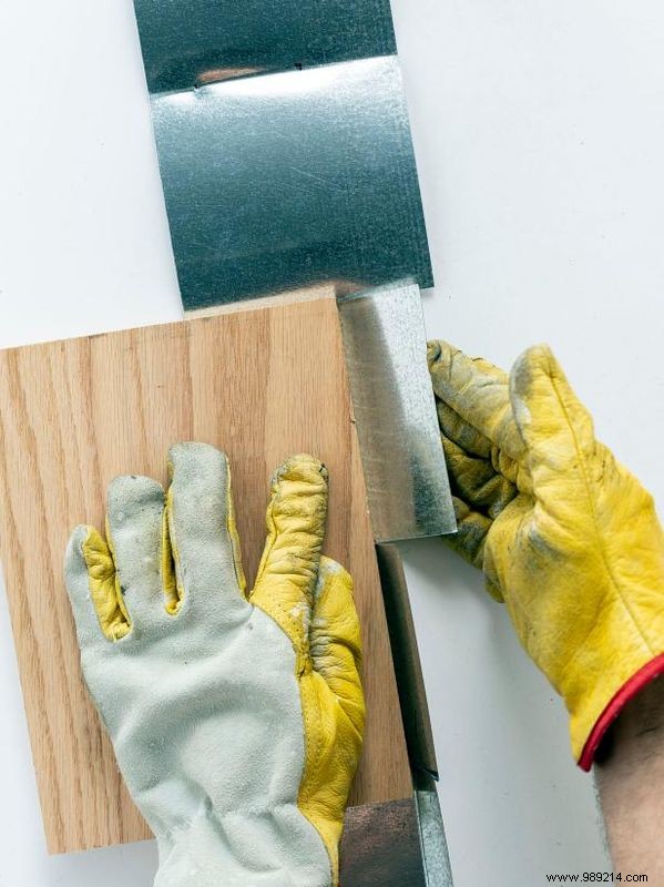 DIY Birdcage Succulent Garden: Custom Liner for Any Size Cage – Expert Guide by Sam Henderson