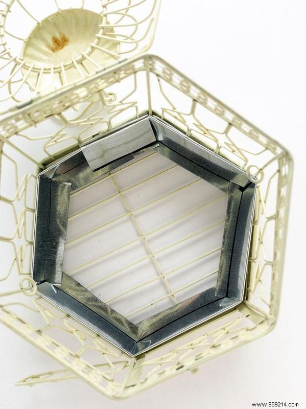 DIY Birdcage Succulent Garden: Custom Liner for Any Size Cage – Expert Guide by Sam Henderson