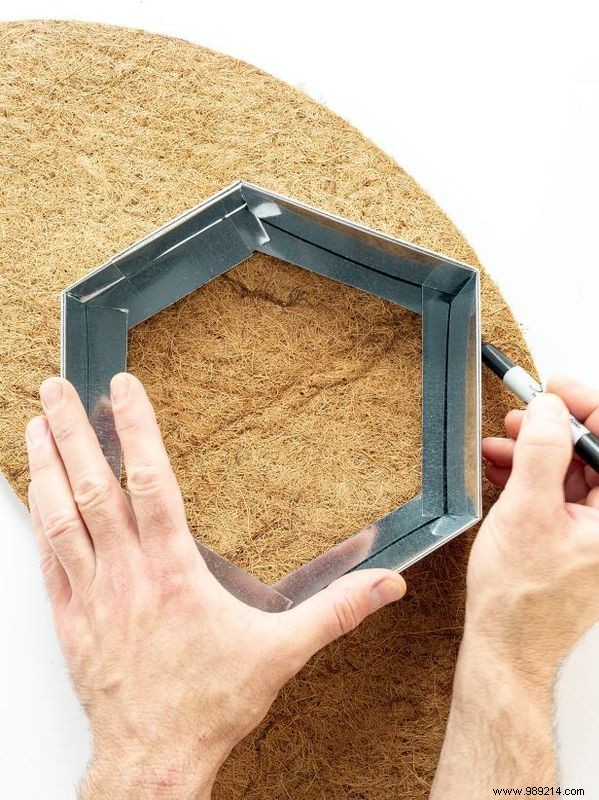 DIY Birdcage Succulent Garden: Custom Liner for Any Size Cage – Expert Guide by Sam Henderson