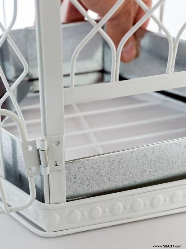 DIY Birdcage Succulent Garden: Custom Liner for Any Size Cage – Expert Guide by Sam Henderson