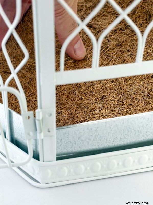 DIY Birdcage Succulent Garden: Custom Liner for Any Size Cage – Expert Guide by Sam Henderson