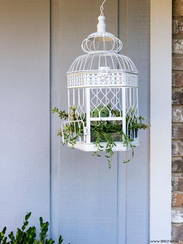 DIY Birdcage Succulent Garden: Custom Liner for Any Size Cage – Expert Guide by Sam Henderson