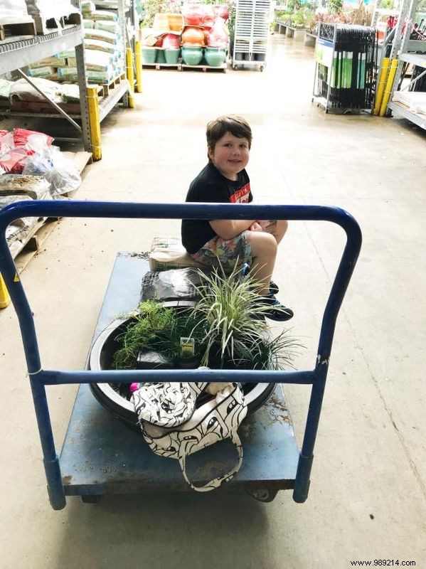 DIY Dinosaur Garden: Build a Prehistoric Sensory Play Area for Budding Paleontologists