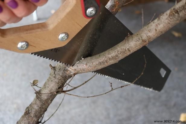 DIY Guide: Craft a Realistic Evergreen Faux Spiral Topiary That Lasts All Year