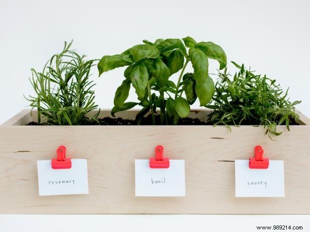 Build Your Own Kitchen Herb Planter Box: Simple DIY Guide
