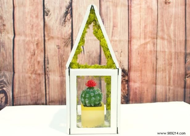 DIY Mini Greenhouse from Picture Frames: Easy Step-by-Step Guide by Jennifer Perkins
