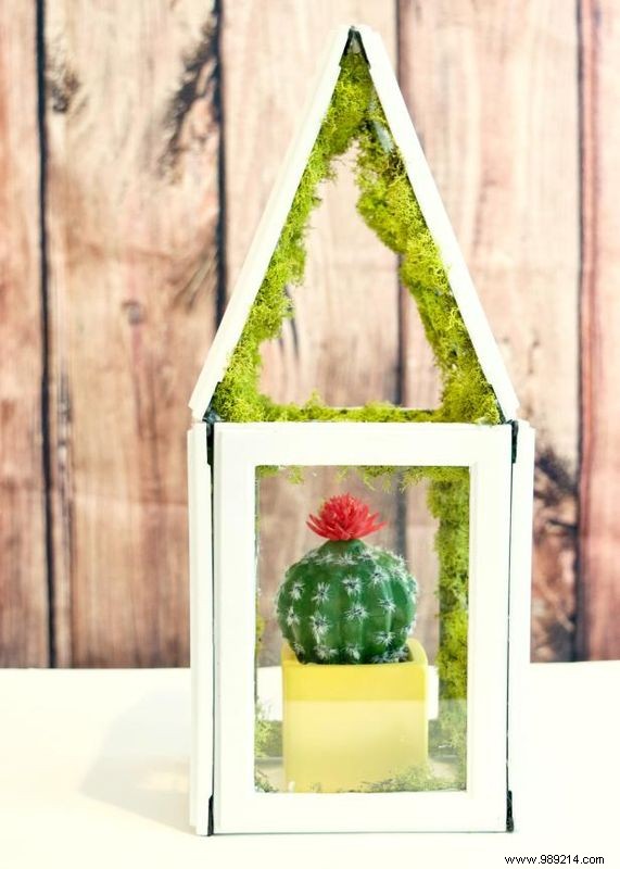 DIY Mini Greenhouse from Picture Frames: Easy Step-by-Step Guide by Jennifer Perkins