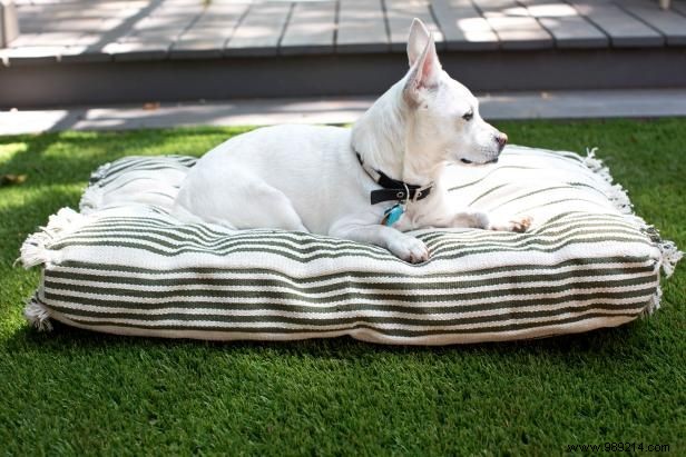 DIY Guide: Craft a Durable Pet Bed Cover from Flat-Weave Rugs