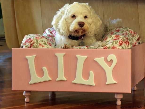 Transform an Old Drawer into a Cozy DIY Pet Bed: Step-by-Step Guide