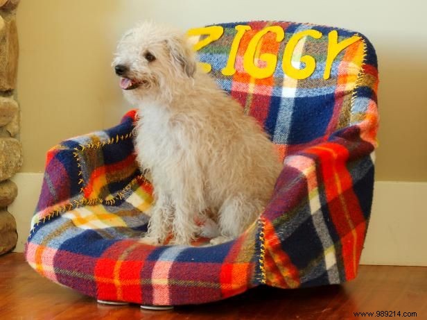 Transform an Old Office Chair into a Cozy Custom Pet Bed: Easy DIY Guide