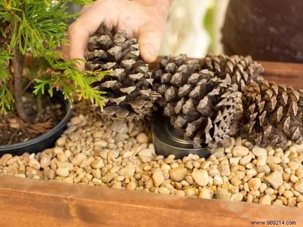 How to Create a DIY S mores Toaster Station Centerpiece