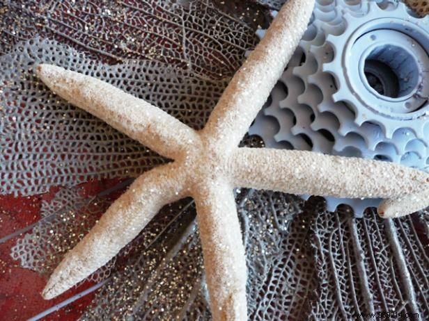 DIY Beach Wreath: Upcycle a Bike Rim with Coral Fans and Starfish