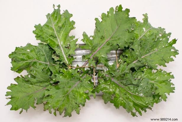 Create a Stunning Edible Fall Harvest Centerpiece: Expert DIY Guide