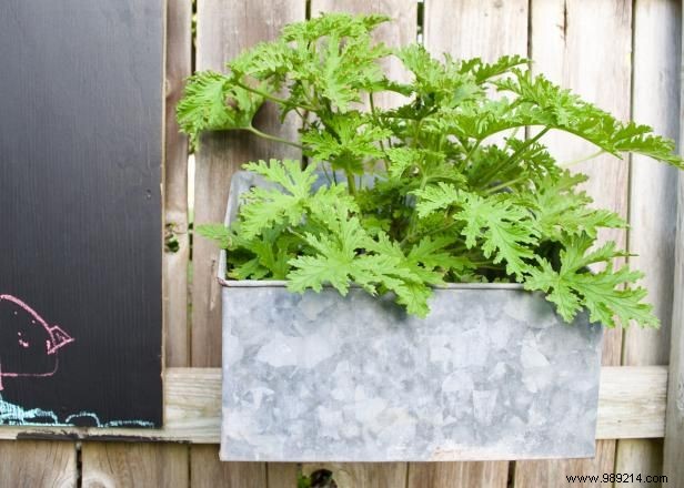 DIY Outdoor Chalkboard Wall: Easy Fence Project for Endless Kids  Creativity