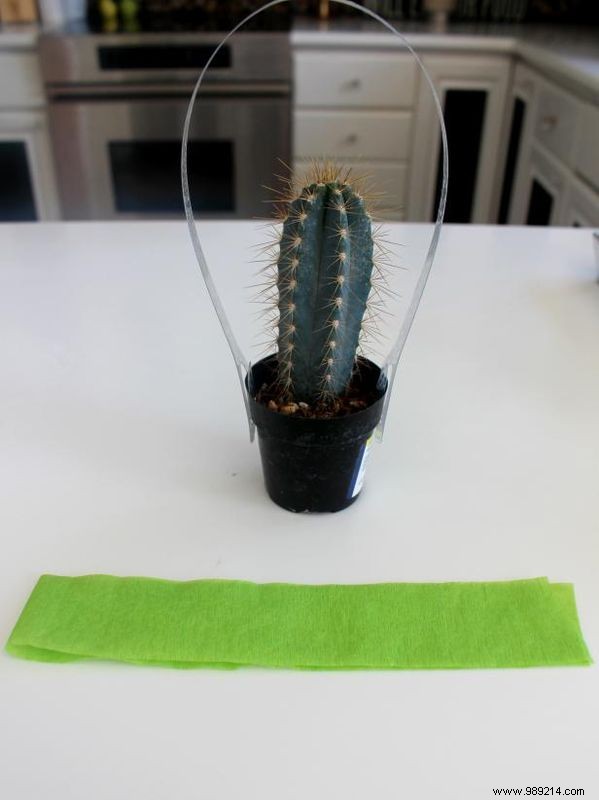 How to Craft Adorable Mini Cactus Party Favors: A Simple 3-Step DIY Guide