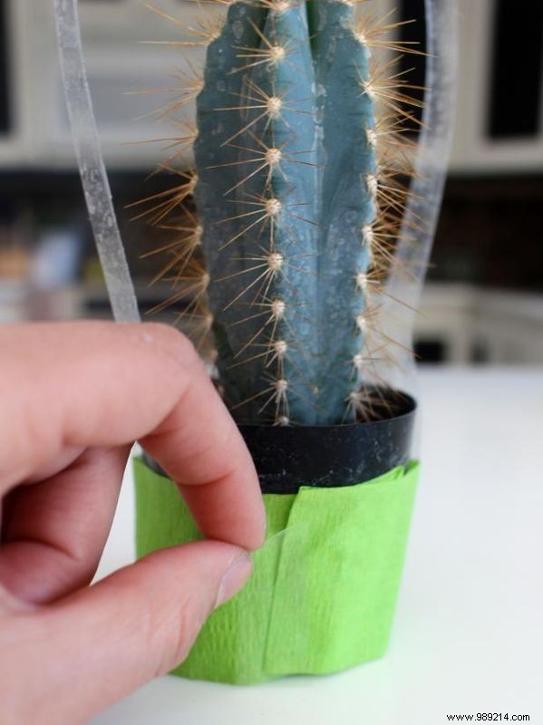How to Craft Adorable Mini Cactus Party Favors: A Simple 3-Step DIY Guide
