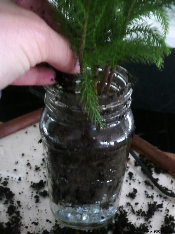 DIY Evergreen Wedding Favors: Eco-Friendly Centerpieces and Table Assignments