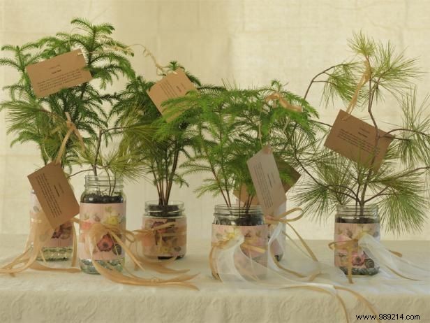 DIY Evergreen Wedding Favors: Eco-Friendly Centerpieces and Table Assignments