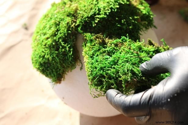 DIY Guide: Craft Stunning Hanging Moss Topiary Spheres