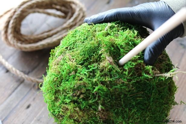 DIY Guide: Craft Stunning Hanging Moss Topiary Spheres