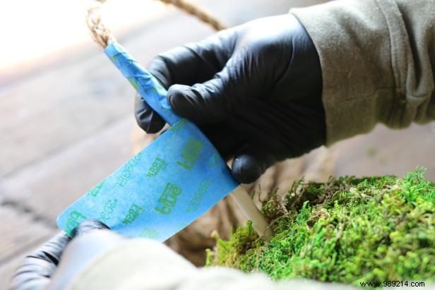 DIY Guide: Craft Stunning Hanging Moss Topiary Spheres