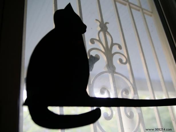 DIY Halloween Window Silhouettes: Simple Step-by-Step Guide from a Seasoned Crafter