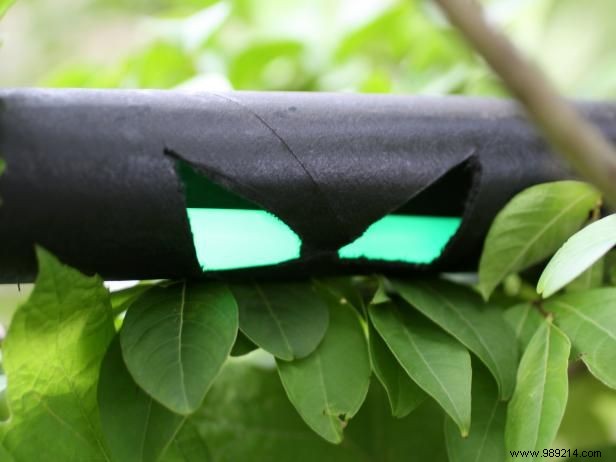DIY Halloween Ghost Eyes in Bushes: Easy Glowing Spooky Tutorial