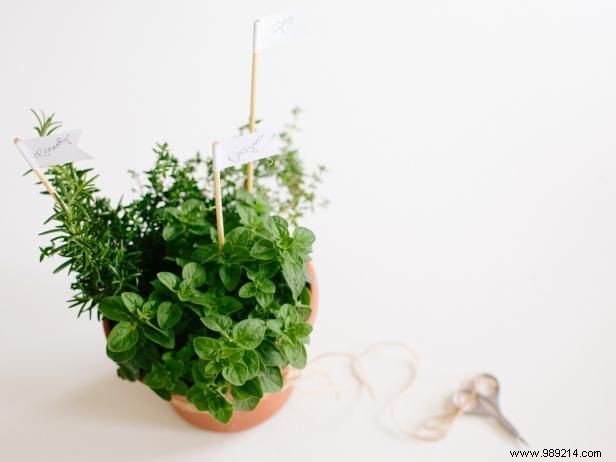 DIY Herb Centerpieces and Edible Party Favors: Simple Step-by-Step Guide
