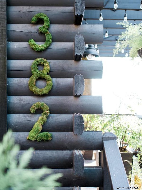 DIY Guide: Craft Rustic Moss-Covered House Numbers for Timeless Curb Appeal
