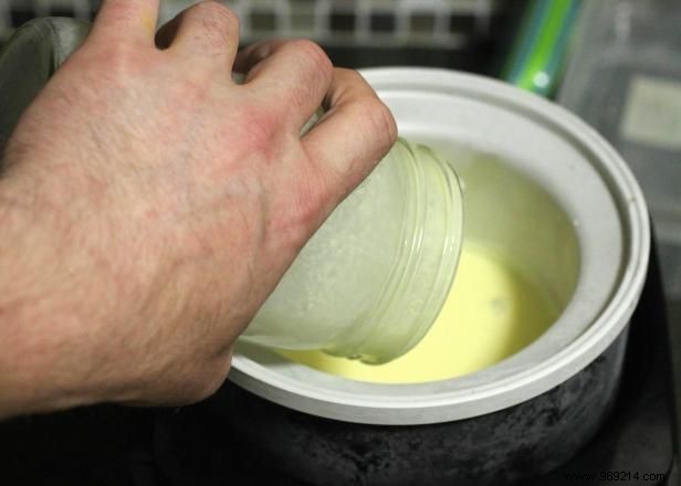 Creamy Homemade Strawberry Chocolate Chip Ice Cream: Expert Step-by-Step Recipe