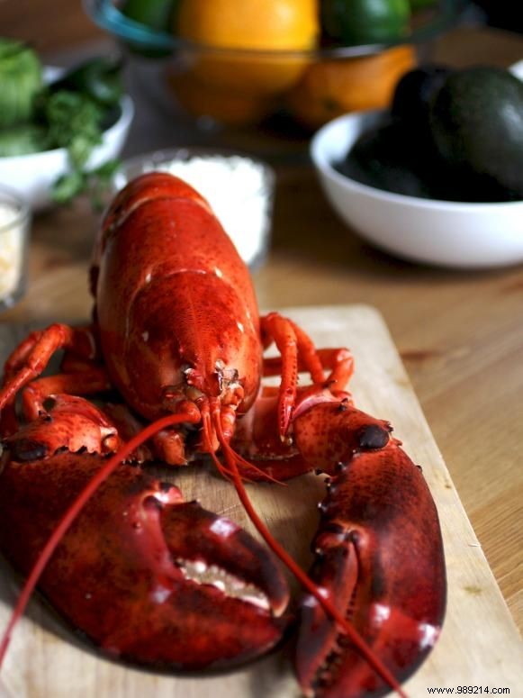 Gourmet Lobster Tacos with Zesty Spicy Orange Sauce: Expert Recipe
