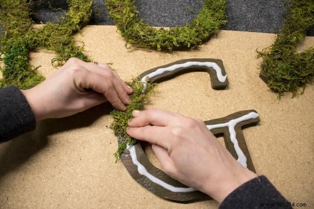 DIY Moss Letters for Outdoor Yard Signs: Expert Step-by-Step Guide