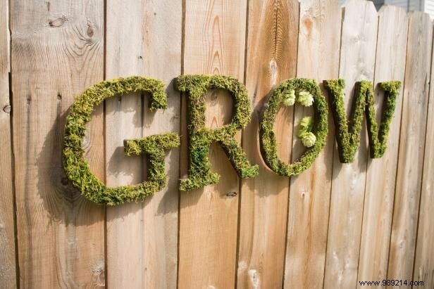 DIY Moss Letters for Outdoor Yard Signs: Expert Step-by-Step Guide