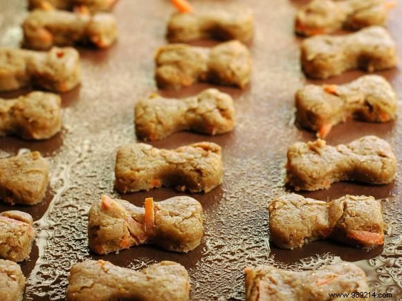 Homemade Peanut Butter Dog Bones: A Simple, Healthy Recipe Your Pup Will Love