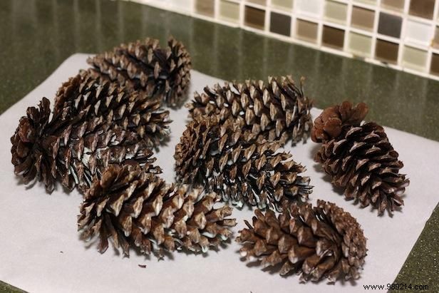 DIY Scented Pine Cone Fire Starters: Easy Step-by-Step Guide