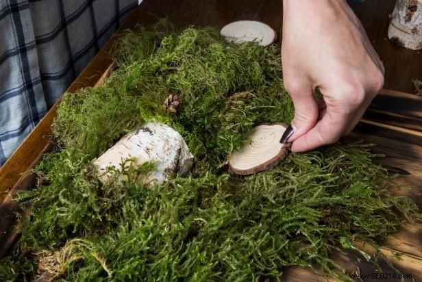Create Stunning 3D Moss and Wood Wall Art: Expert DIY Guide