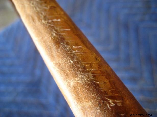 Expert DIY Guide: Restore Pet-Chewed Wooden Furniture in 7 Simple Steps