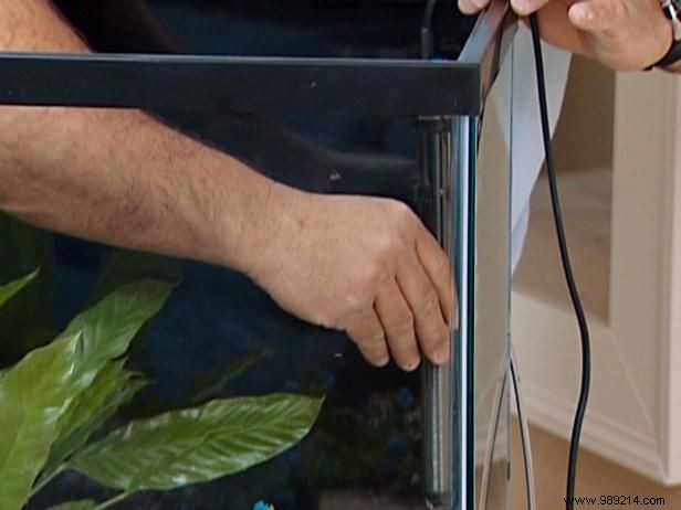 Expert Step-by-Step Guide: How to Set Up a Thriving Home Aquarium