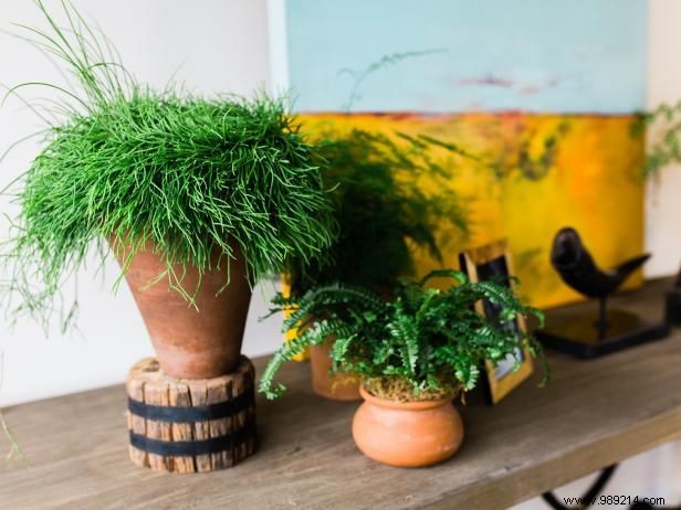 Stylish Indoor Gardening Ideas for Small Spaces