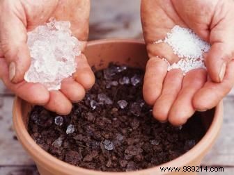 Stylish Indoor Gardening Ideas for Small Spaces